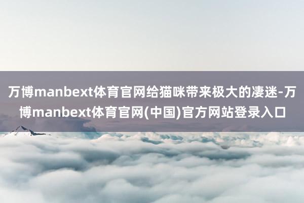 万博manbext体育官网给猫咪带来极大的凄迷-万博manbext体育官网(中国)官方网站登录入口