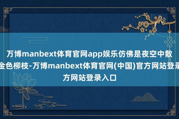 万博manbext体育官网app娱乐仿佛是夜空中散落的金色柳枝-万博manbext体育官网(中国)官方网站登录入口