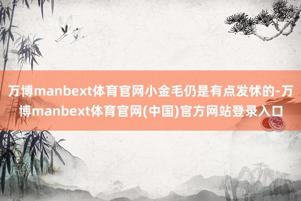 万博manbext体育官网小金毛仍是有点发怵的-万博manbext体育官网(中国)官方网站登录入口